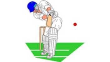 Free download Best Cricket Odds free photo or picture to be edited with GIMP online image editor