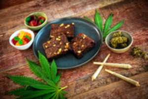 Free download Beste Marihuana Markt free photo or picture to be edited with GIMP online image editor