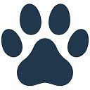 BestForPets  screen for extension Chrome web store in OffiDocs Chromium