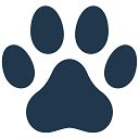 BestForPets  screen for extension Chrome web store in OffiDocs Chromium