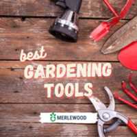 Libreng download Pinakamahusay na Mga Tool sa Hardin | Handy Garden Tools - Merlewood libreng larawan o larawan na ie-edit gamit ang GIMP online na editor ng imahe