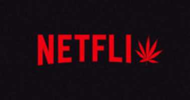 Free download Best Stoner Movies On Netflix free photo or picture to be edited with GIMP online image editor