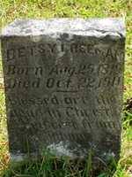 Free download Besty Freeman ( Graham) Head Stone March 1819 To 1911 free photo or picture to be edited with GIMP online image editor