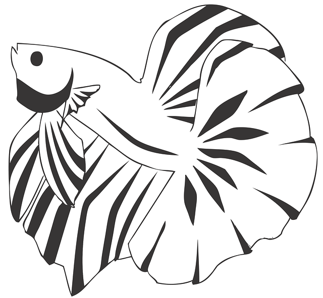 Free download Betta Fish Aquarium - Free vector graphic on Pixabay free illustration to be edited with GIMP free online image editor