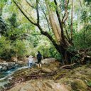 Bù Gia Mập National Park – A Pristine Haven of Biodiversity  screen for extension Chrome web store in OffiDocs Chromium