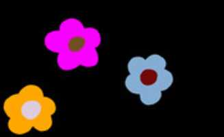 Free download Bib FLower Wallpaper free photo or picture to be edited with GIMP online image editor