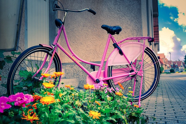 免费下载自行车粉红色复古女士自行车免费图片以使用 GIMP 免费在线图像编辑器进行编辑