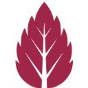 BidMint.io  screen for extension Chrome web store in OffiDocs Chromium