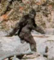 Free download Big Foot Pgf free photo or picture to be edited with GIMP online image editor