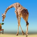 Big giraffe  screen for extension Chrome web store in OffiDocs Chromium
