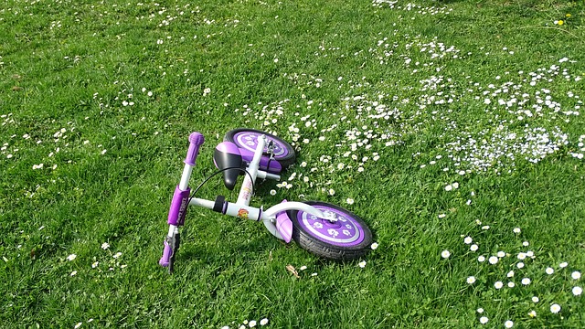 Bezpłatne pobieranie rowerów trawa dzieci rower bi rower darmowe zdjęcie do edycji za pomocą bezpłatnego internetowego edytora obrazów GIMP
