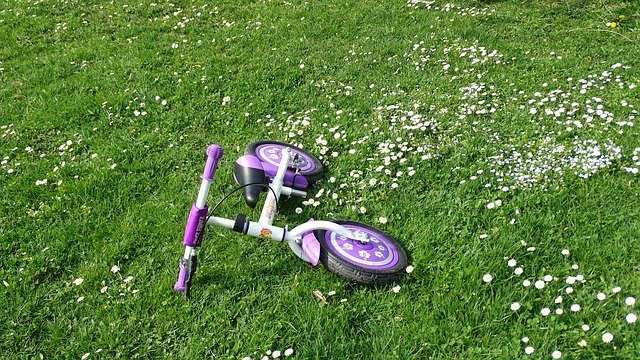 Free download bike grass kids bike bi bicycle free picture to be edited with GIMP free online image editor