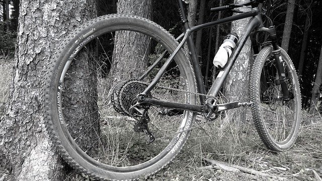 Free download bike trek mtb 29er bontrager 1x11 free picture to be edited with GIMP free online image editor