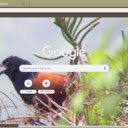 Bim bip  screen for extension Chrome web store in OffiDocs Chromium