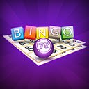 Bingo  screen for extension Chrome web store in OffiDocs Chromium