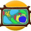 Biology Cell Puzzle  screen for extension Chrome web store in OffiDocs Chromium