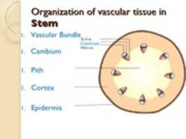 Free download Biology gat11 free photo or picture to be edited with GIMP online image editor