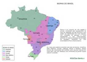 Бесплатно скачать Biomas do Brasil бесплатное фото или изображение для редактирования с помощью онлайн-редактора изображений GIMP