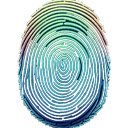 Biometric Device Serial Number Finder Tool  screen for extension Chrome web store in OffiDocs Chromium