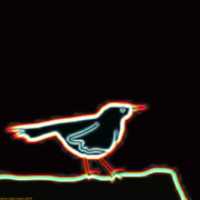 Free download Bird 19 free photo or picture to be edited with GIMP online image editor