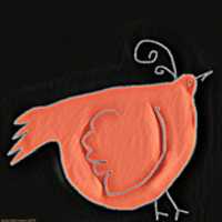 বিনামূল্যে ডাউনলোড করুন Bird 26 বিনামূল্যের ছবি বা ছবি GIMP অনলাইন ইমেজ এডিটর দিয়ে সম্পাদনা করতে হবে