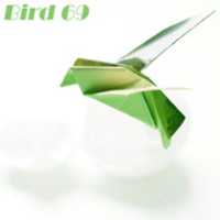 Free download bird69_cover free photo or picture to be edited with GIMP online image editor