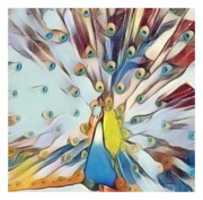 Free download bird 6 free photo or picture to be edited with GIMP online image editor