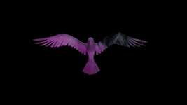 Free download Bird Abstract Colour -  free video to be edited with OpenShot online video editor