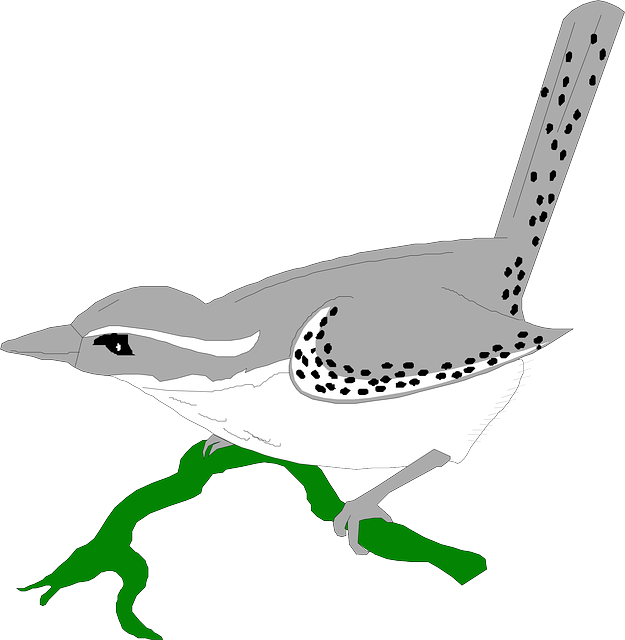 Free download Bird Animal Wren - Free vector graphic on Pixabay free illustration to be edited with GIMP free online image editor
