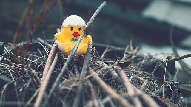 Muat turun percuma gambar percuma sarang telur burung ranting kayu mainan untuk diedit dengan editor imej dalam talian percuma GIMP