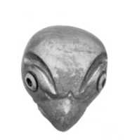 Free download Bird head figure free photo or picture to be edited with GIMP online image editor