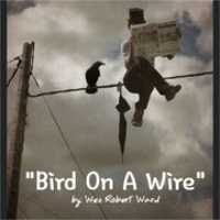 무료 다운로드 Bird On A Wire 무료 사진 또는 GIMP 온라인 이미지 편집기로 편집할 사진