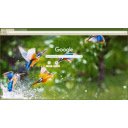 Birds  screen for extension Chrome web store in OffiDocs Chromium