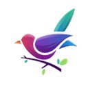 Birds Backgrounds  screen for extension Chrome web store in OffiDocs Chromium