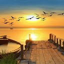 Birds flying towards the sun Wallpaper  screen for extension Chrome web store in OffiDocs Chromium