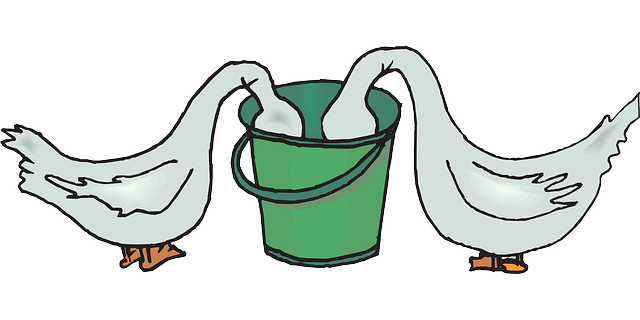 Free download Birds Geese Food - Free vector graphic on Pixabay free illustration to be edited with GIMP free online image editor