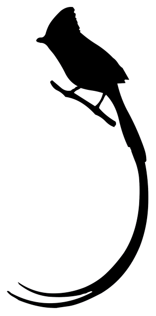 Free download Bird Silhouette Animal -  free illustration to be edited with GIMP free online image editor