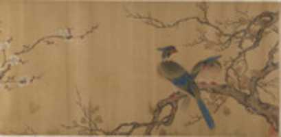 Free download Birds on Branches free photo or picture to be edited with GIMP online image editor