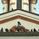 Birds on the Roof  screen for extension Chrome web store in OffiDocs Chromium