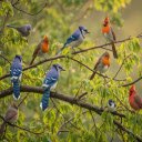 Birds with crests  screen for extension Chrome web store in OffiDocs Chromium