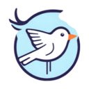 BirdTab Discover Bird Pictures  Songs in New Tabs  screen for extension Chrome web store in OffiDocs Chromium
