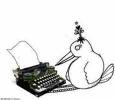 Free download Bird Typing GIF free photo or picture to be edited with GIMP online image editor