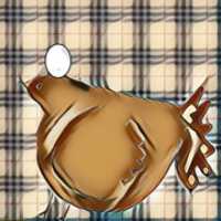 Free download Bird With Egg free photo or picture to be edited with GIMP online image editor