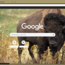 Bison  screen for extension Chrome web store in OffiDocs Chromium