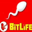 BitLife Life Simulator Unblocked  screen for extension Chrome web store in OffiDocs Chromium