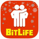 BitLife Offline  screen for extension Chrome web store in OffiDocs Chromium