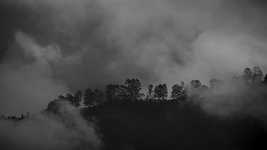 Free download Black And White Nature Winds -  free video to be edited with OpenShot online video editor