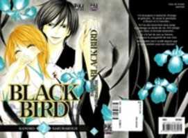 Free download Black Bird 02 099 free photo or picture to be edited with GIMP online image editor
