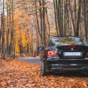 black car and gold leaf  screen for extension Chrome web store in OffiDocs Chromium