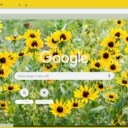 Black eyed Susan  screen for extension Chrome web store in OffiDocs Chromium